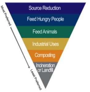 Waste Food Pyramid