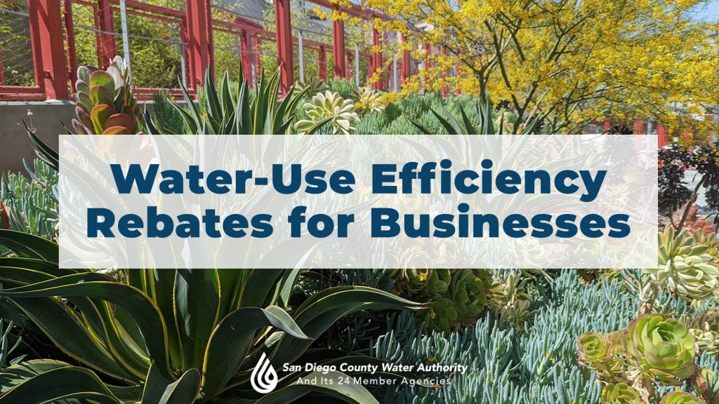 Water Use Efficiency Rebates For Businesses Carlsbad Chamber Of Commerce