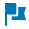 Flag Icon